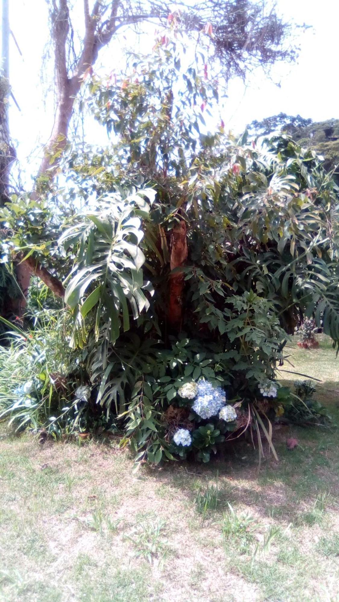 Vila Chale Linda Vista 5 Min. Do Centro Nova Friburgo Pokoj fotografie